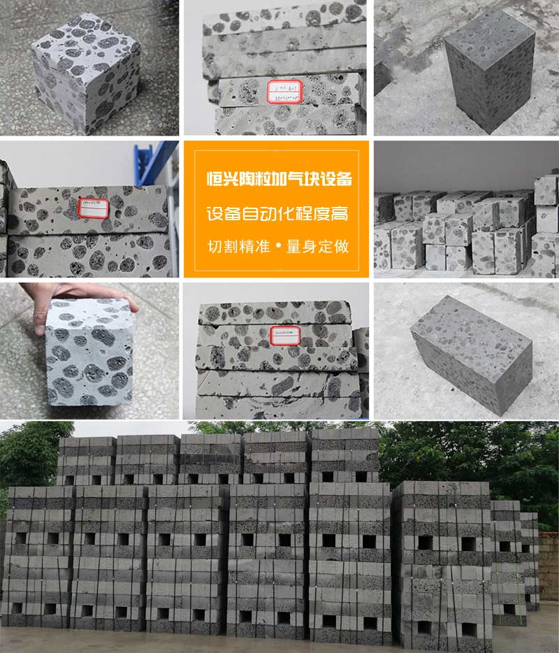 陶(táo)粒加氣混凝土(tǔ)砌塊 陶粒加氣(qì)混凝土砌塊